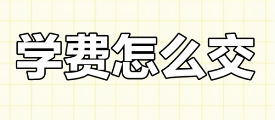 1761188386118465.png image.png